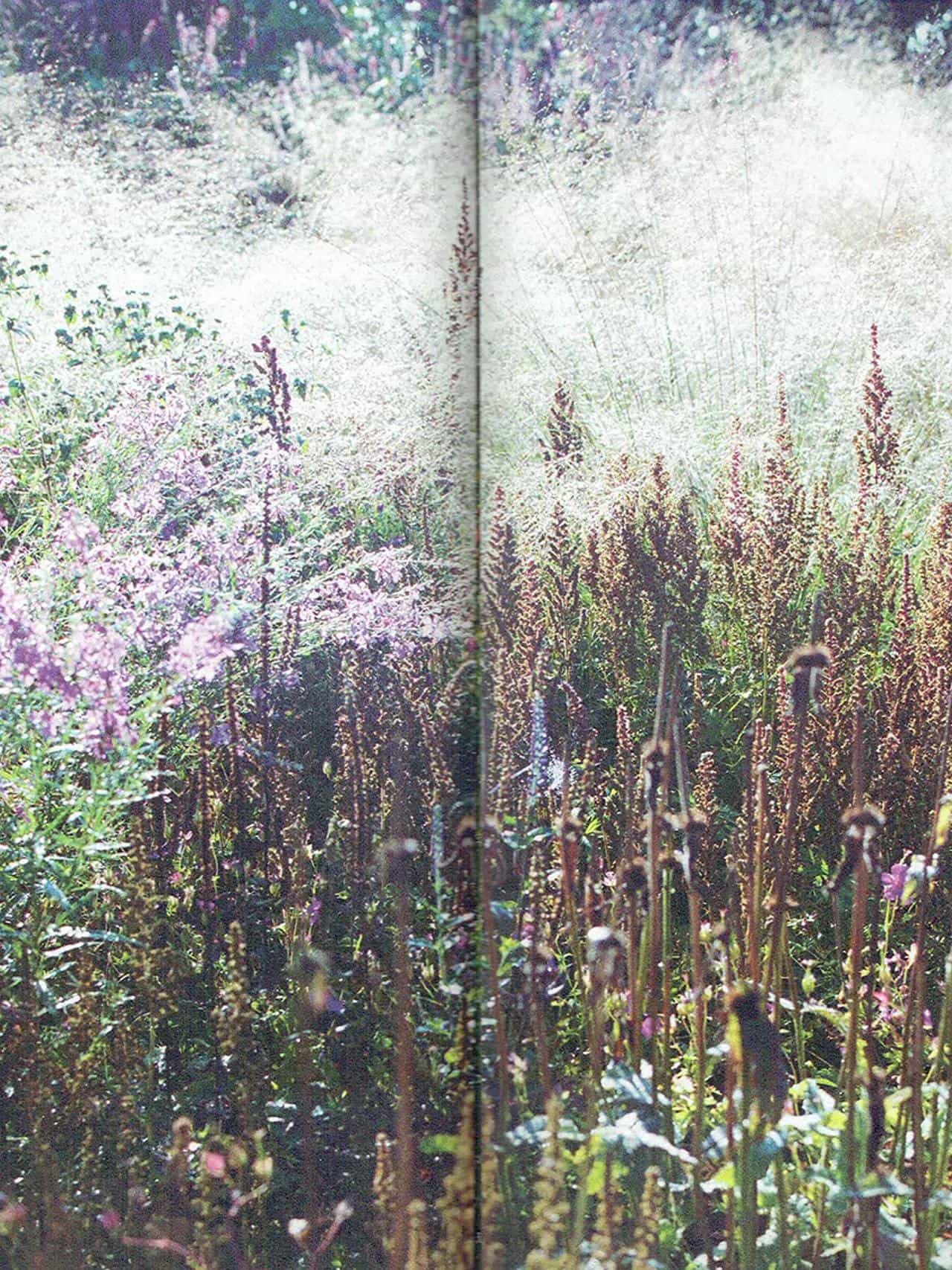 Marsèll Indice 2022