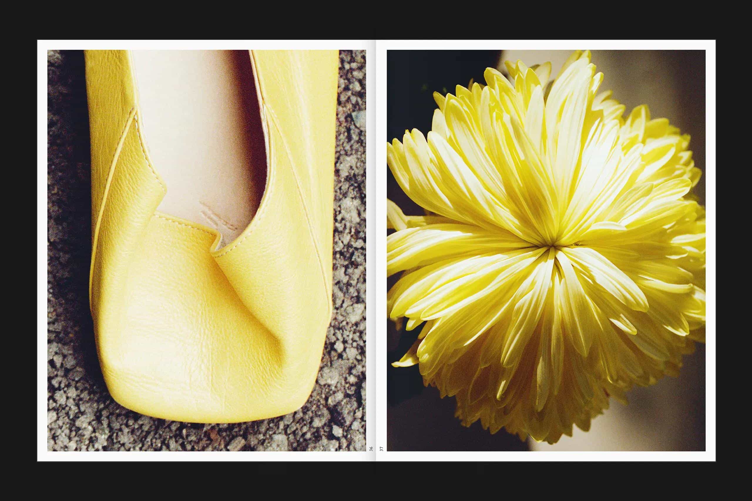 Marsèll Indice 2022